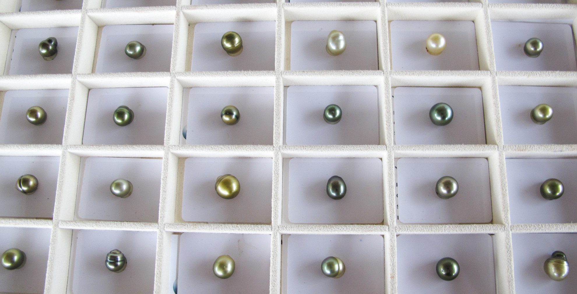 fiji pearls - appraising pearls