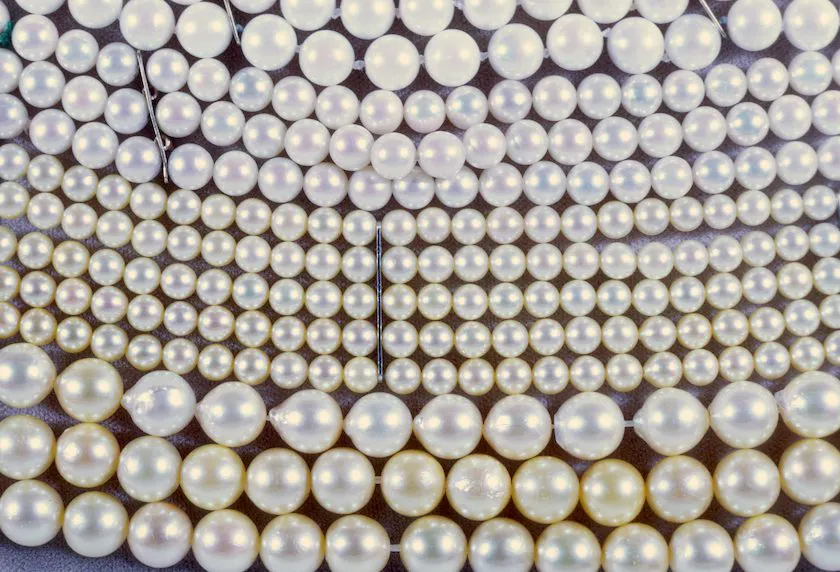 Persian Gulf pearls