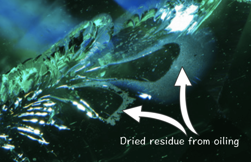 Dried residues left after removing oil from surface-reaching fissures in an emerald