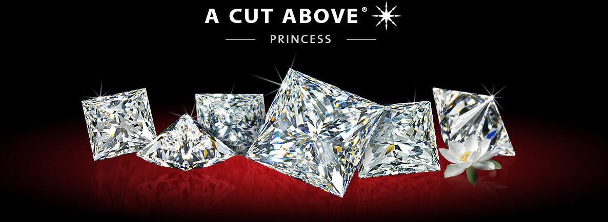 A Cut Above Princess