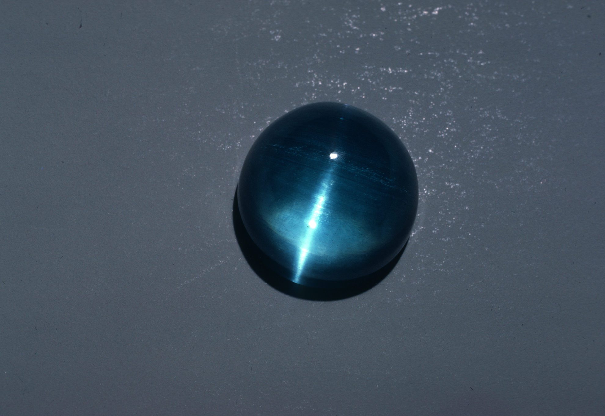 cat's eye