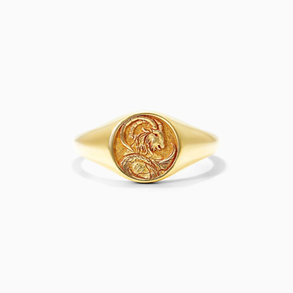 14K Yellow Gold Capricorn Zodiac Signet Ring James Allen