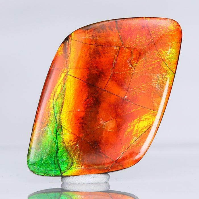 ammolite cabochon 2