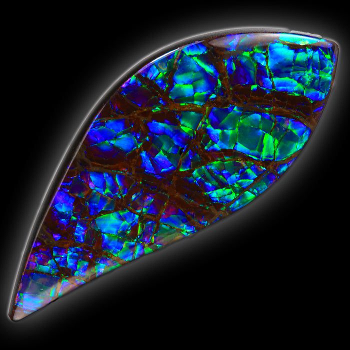 ammolite cabochon 3