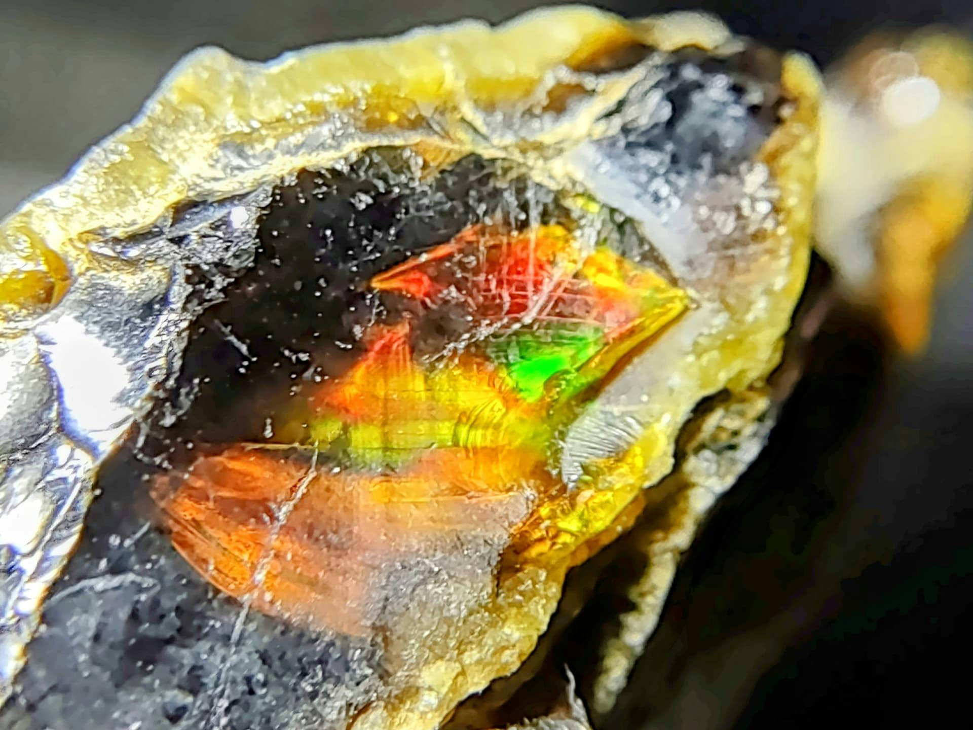 Is This a Fossil Opal?