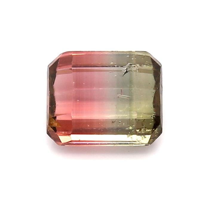 2.04 VI1 Octagon Bi-color Tourmaline Brian Gavin