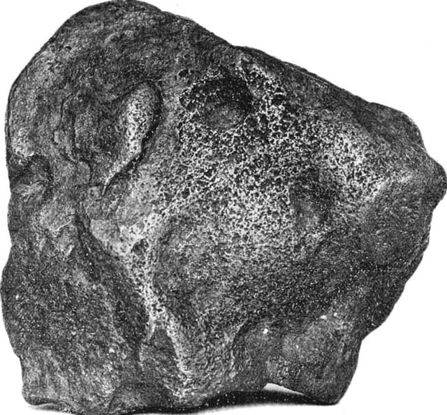 Unique Gem Materials for Jewelry Design Gem Society