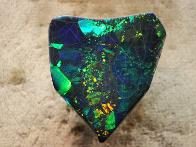 “Black Opal,” Harlequin Prince Opal, 215.85 carats, Lightning Ridge, American Museum of Natural History, by greyloch is licensed under CC By-SA 2.0