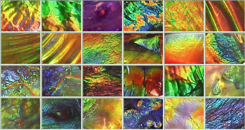 Ammolite Blue Zone Patterns