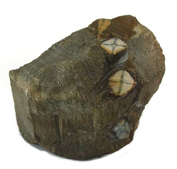 andalusite - chiastolite