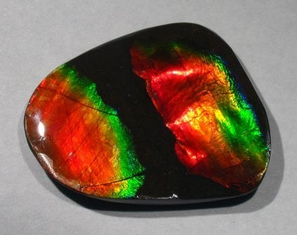 R Group Red Ammolite Ammonite Your Choice Pick One Ready to Make Jewelry 