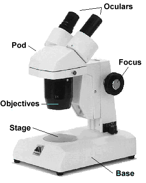 The Microscope