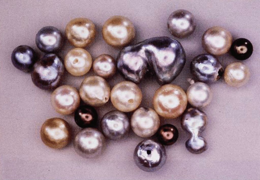 varieties of pearls from around the world