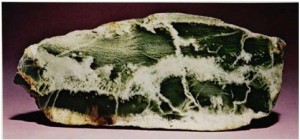 SERPENTINE: Pakistan (~ 4 inches long)