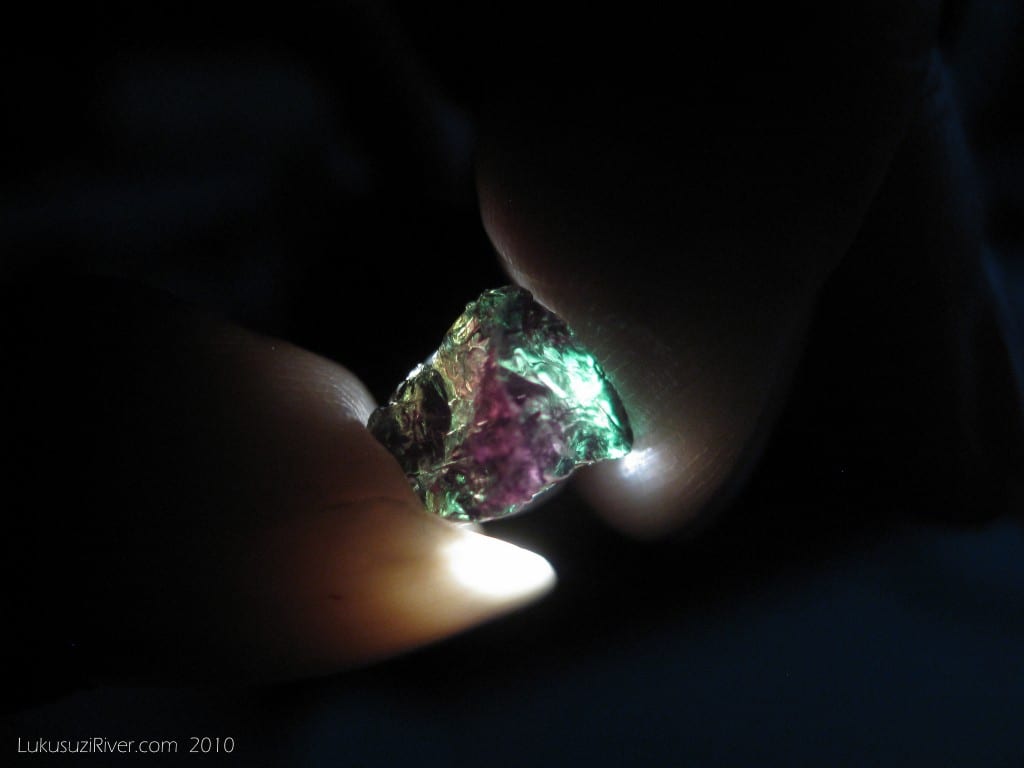 “Mkushi_IMG_4279,” Tourmaline with Usambara effect; Chiblua mine; Mkushi area. © Leo Klemm, http://www.lukusuziriver.com. Used with permission.