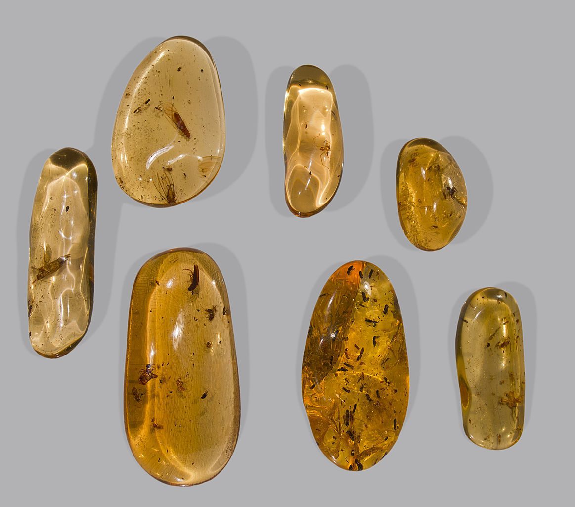 Amber Colors and Shades. - AmberGemstones