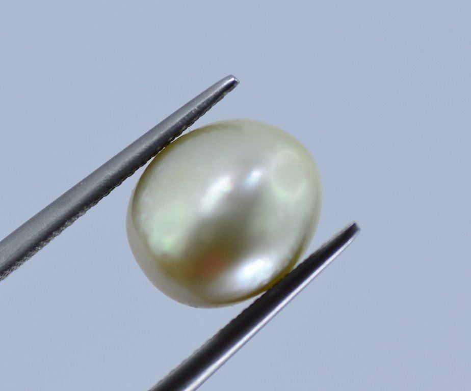 7-8mm Half-Drilled AA Quality Button Pearl in All Colored Pearls