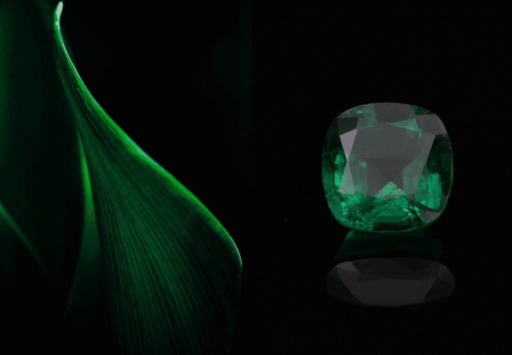 Shakiso Dream Emerald - Ethiopia